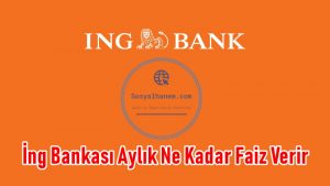 İng Bankası Aylık Ne Kadar Faiz Verir