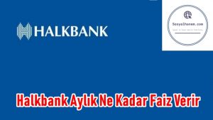 Halkbank Aylık Ne Kadar Faiz Verir